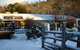 Crackenback Farm Restaurant And Guesthouse - thumb 1