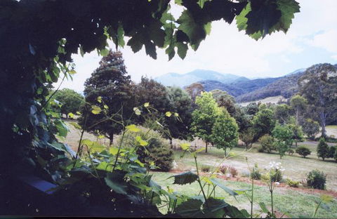 Springfield Cottage Bed & Breakfast - Accommodation Bookings 1