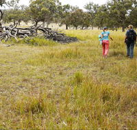 Carnarvon National Park camping - Accommodation Bookings