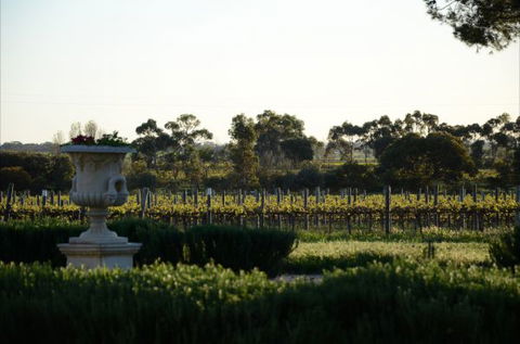 Angas Plains Estate Wines Heritage Suite - Accommodation Bookings 6