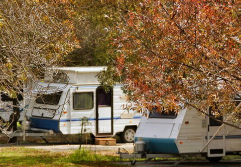 BIG4 Dandenong Tourist Park - Accommodation Bookings 1