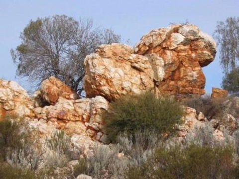 Credo Homestead Camp At Credo Conservation Park - Accommodation Bookings 0