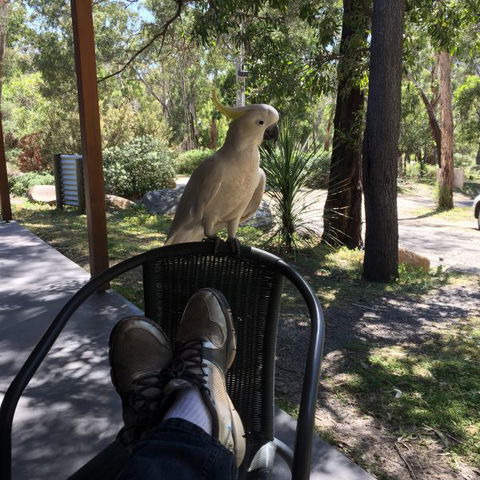 Gang Gang Villas - Accommodation Bookings 2