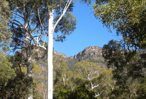 Gang Gang Villas - Accommodation Bookings 4