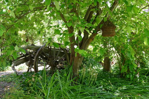 Willowbrook Heritage Bed & Breakfast - Accommodation Bookings 7