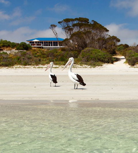 Kangaroo Island Star Beach House - Accommodation Bookings 0