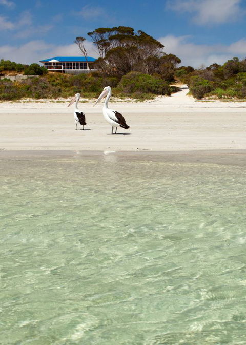 Kangaroo Island Star Beach House - Accommodation Bookings 4