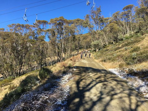 Arrabri Ski Club Hotham - Accommodation Bookings 1