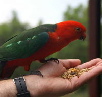 Barrington Tops Escapes - Accommodation Bookings