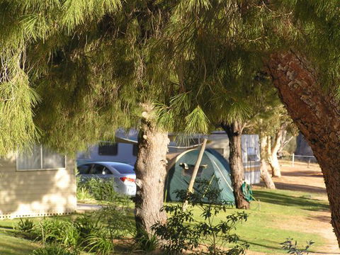 Barmera North Lake Caravan Park - Accommodation Bookings 0