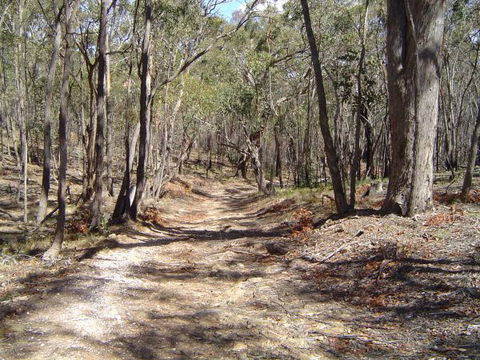 Bushmans Lookout - Accommodation Bookings 3