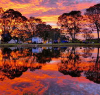 Coonawarra Bush Holiday Park - Accommodation Bookings