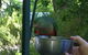 Colac Colac Caravan Park - thumb 2