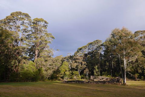 Fernhill Chestnut Farm - Accommodation Bookings 2