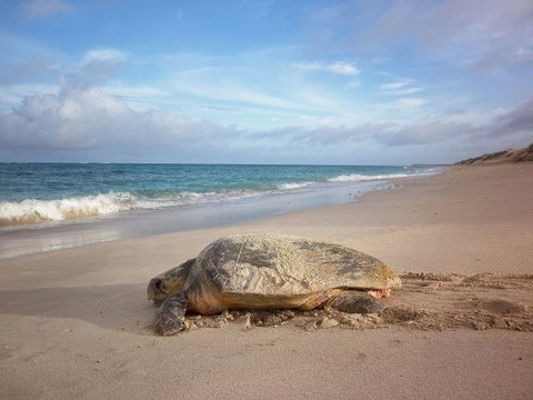 Gnaraloo Station - Accommodation Bookings 9