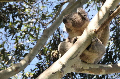 Harmony At Tower Hill - Accommodation Bookings 7