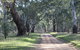 Hughes Park Cottage & Weddings - thumb 2