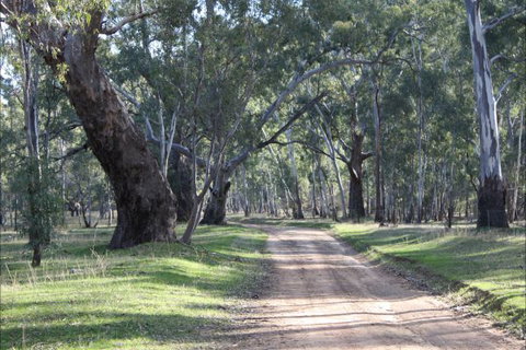 Hughes Park Cottage & Weddings - Accommodation Bookings 2