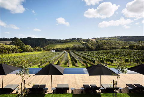 Jackalope Mornington Peninsula - Accommodation Bookings 4