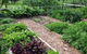Jamberoo Valley Farm - thumb 3