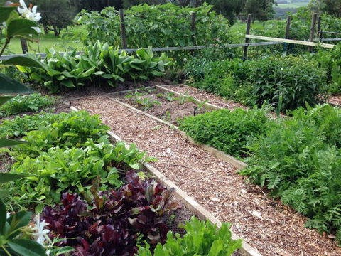 Jamberoo Valley Farm - Accommodation Bookings 3