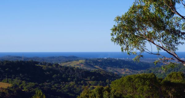 Carool NSW Accommodation Bookings