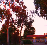 Murray Bridge Central Olympic Motel and Cottages - Accommodation Bookings