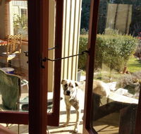 Mara Ponds Branxholm - Accommodation Bookings