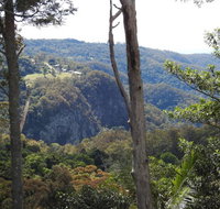 Mt Tamborine Motel - Accommodation Bookings