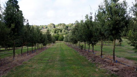 Oakhill Cottage - Accommodation Bookings 6