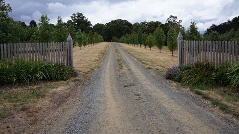 Oakhill Cottage - Accommodation Bookings 7