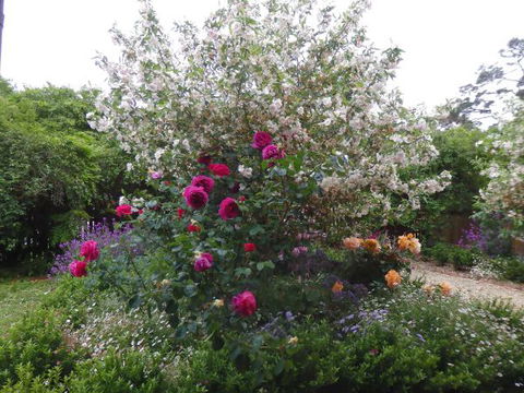 Quartz Cottage - Accommodation Bookings 8