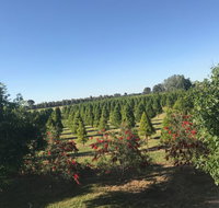Rutherglen Christmas Trees Farm Stay - Accommodation Bookings