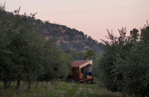Shacky In The Olive Grove - Accommodation Bookings 0