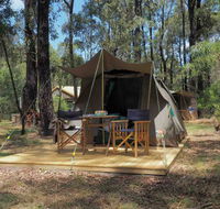 Tall Trees Camping on the Great Ocean Road - Accommodation Bookings