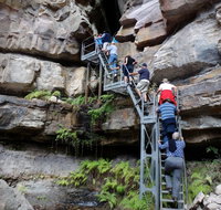 Takarakka Bush Resort Carnarvon Gorge - Accommodation Bookings