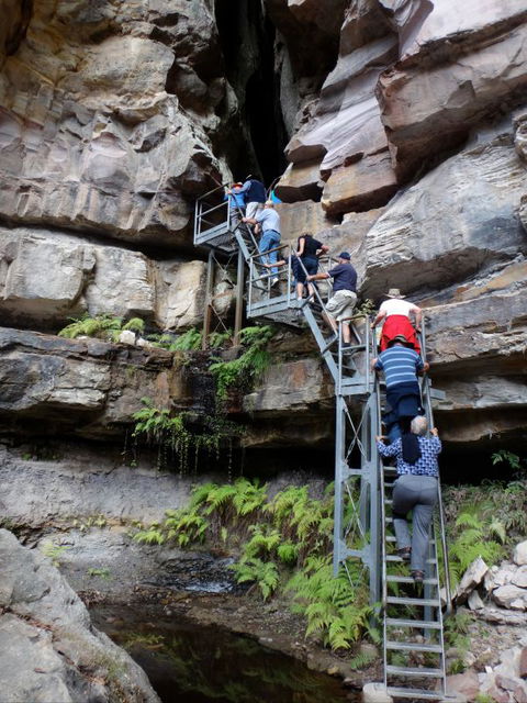 Takarakka Bush Resort Carnarvon Gorge - Accommodation Bookings 0