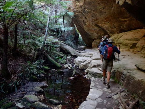 Takarakka Bush Resort Carnarvon Gorge - Accommodation Bookings 6