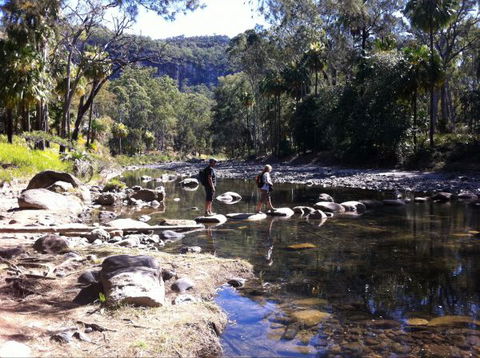 Takarakka Bush Resort Carnarvon Gorge - Accommodation Bookings 9