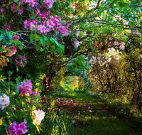 The Pear Walk