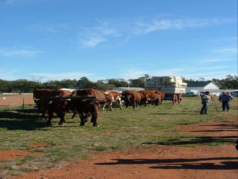 Trundle Showground - Accommodation Bookings 1