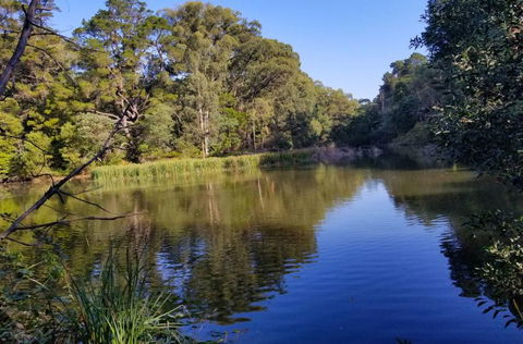 Ferny Hill Retreat - Accommodation Bookings 3