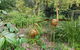 Ferny Hill Retreat - thumb 1