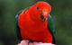 Bellthorpe Stays - Nature's Retreat - thumb 1
