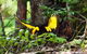 Bellthorpe Stays - Nature's Retreat - thumb 4
