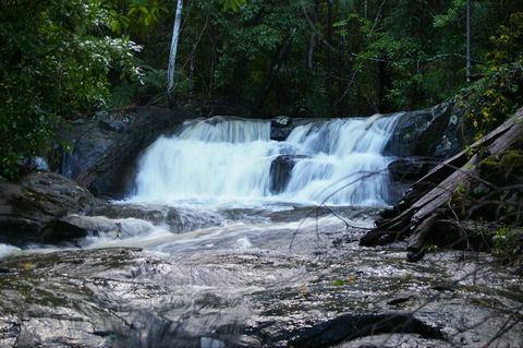 Bellthorpe Stays - Nature's Retreat - Accommodation Bookings 5
