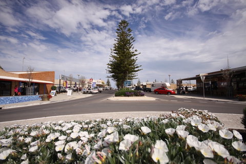 Ceduna Foreshore Caravan Park - Accommodation Bookings 6