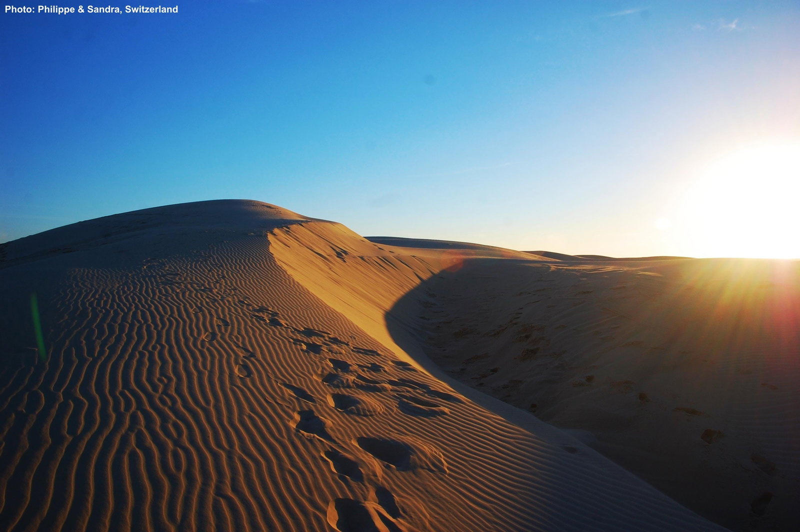  Accommodation Bookings