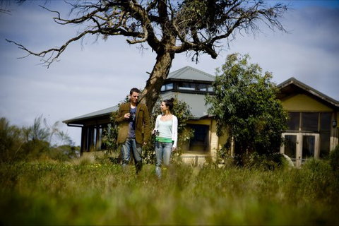Great Ocean Ecolodge - Accommodation Bookings 2