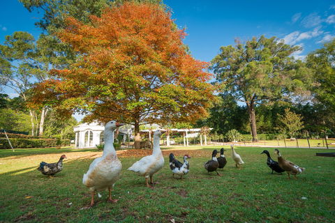 Kalinya Estate - Accommodation Bookings 8
